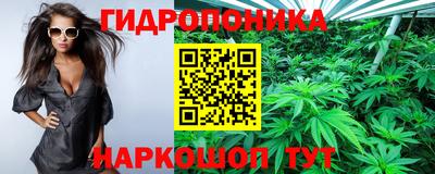 дмт Берёзовский