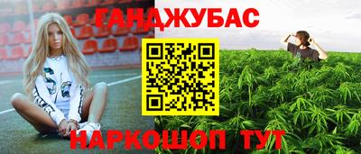 трава Бийск