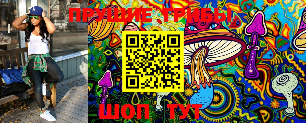 Новокуйбышевск  Галлюциногенные грибы GOLDEN TEACHER  цены   Вход с VPN 