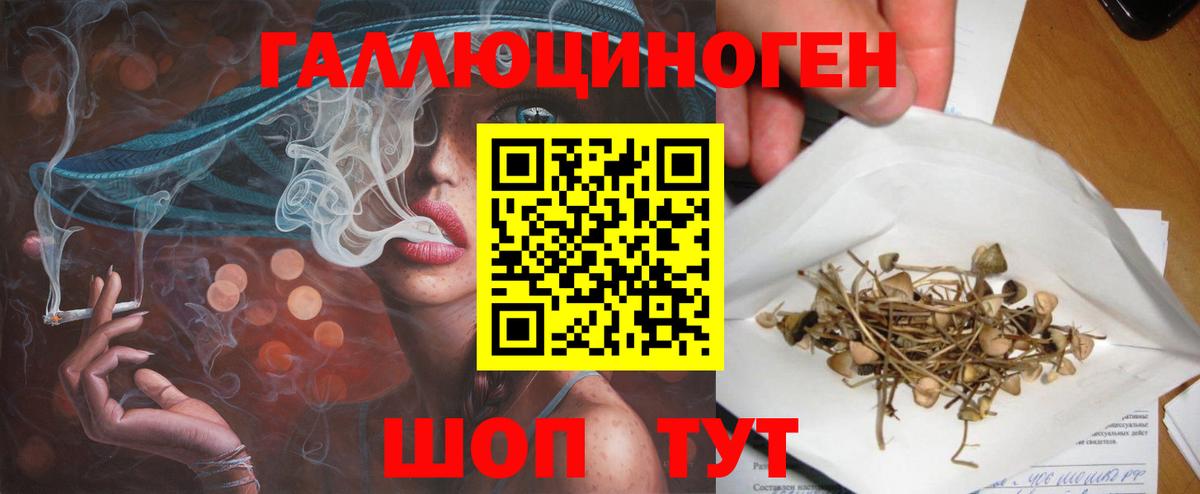 Псилоцибиновые грибы Magic Shrooms Новокуйбышевск